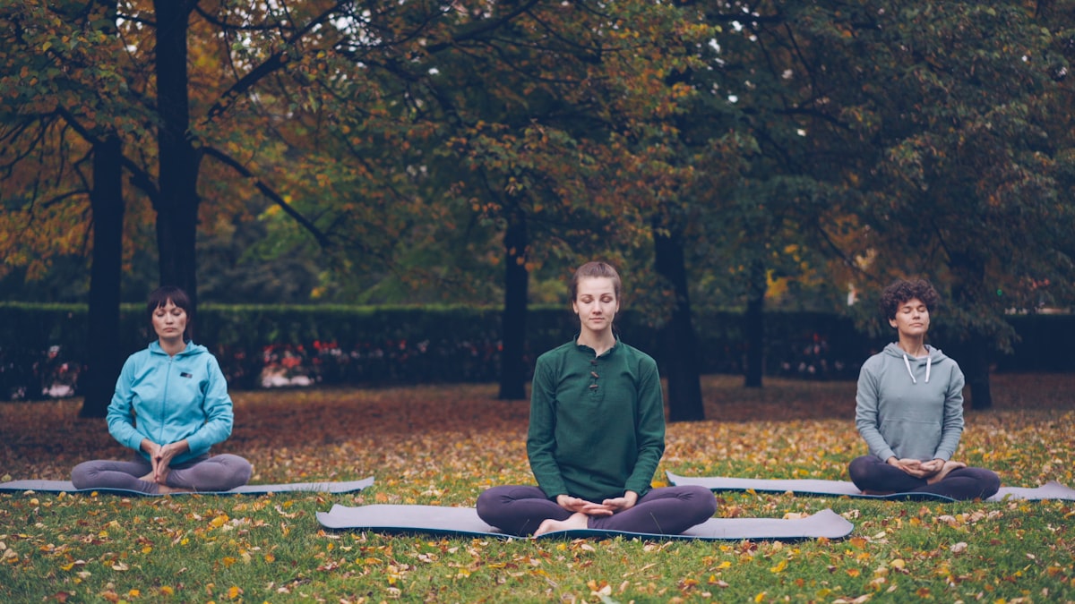 Sleep Quality and Meditation: A Science-Backed Connection